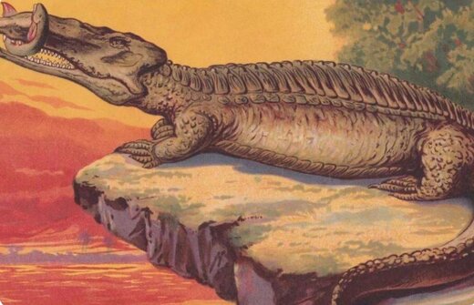 تمساح ۷۰ میلیون ساله