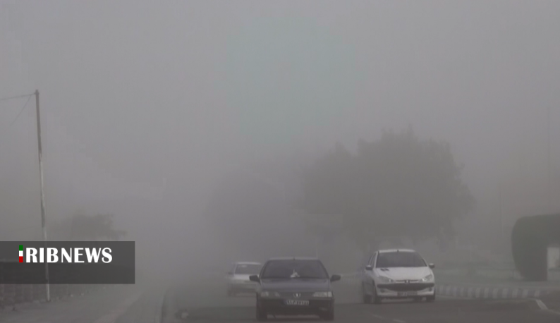 مه غلیط در استان بوشهر و کندی رفت و آمد