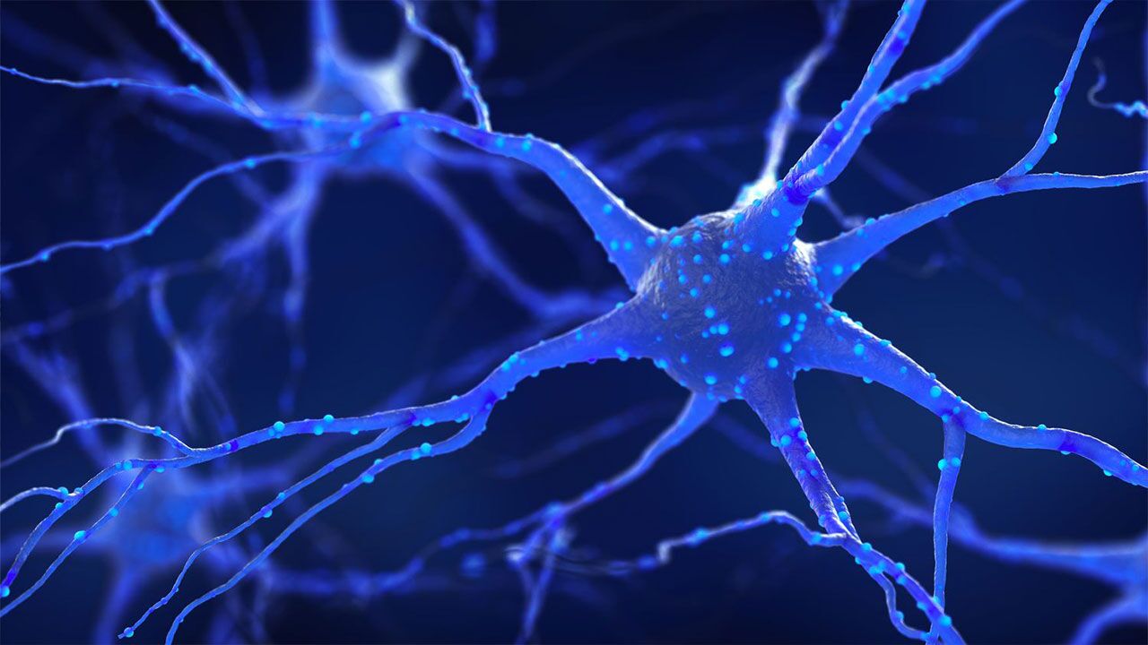 درمان آسیب سلول‌های عصبی با فناوری‌نانو