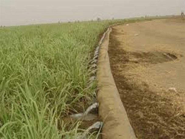 ضرورت توجه به ۵۰ درصد کانال انتقال آب در حوزه کشاورزی کشور