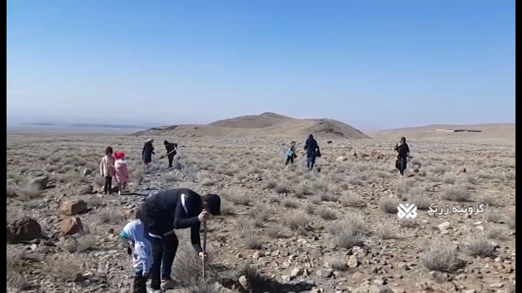 طرح مردمی کاشت بذر بادام کوهی در روستای گزوئیه زرند