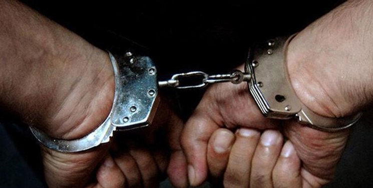 دستگیری سارق کندوی عسل در مهران