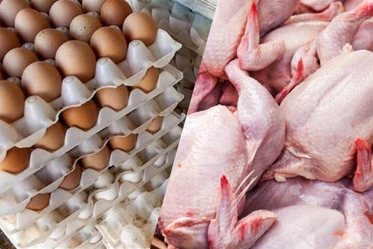 گوشت و تخم مرغ در بازار زنجان موجود است
