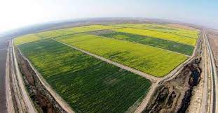 حدنگاری ۳۶۰ هزار زمین کشاورزی در خوزستان