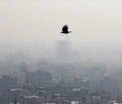 دستگاه‌های متولی درخصوص آلودگی هوا باید پاسخگو بالشند
