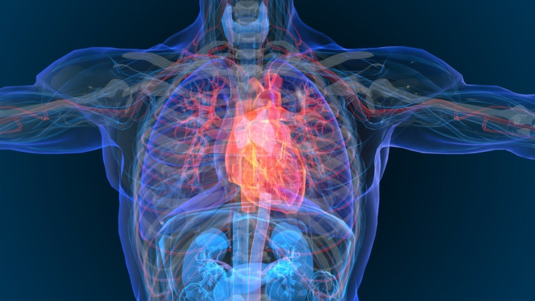 شناسایی سه پروتئین کلیدی در پیشگیری از حملات قلبی