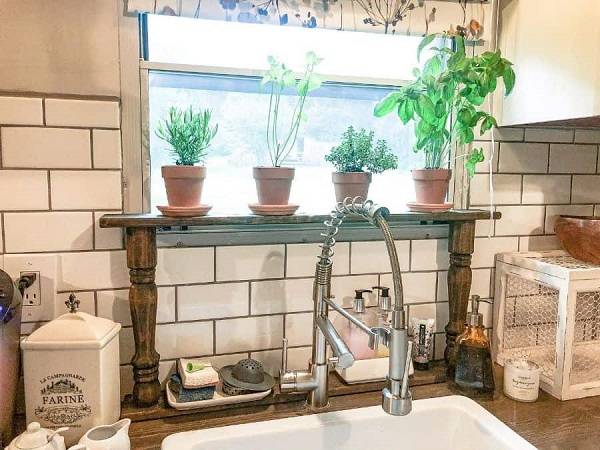 بهترین گیاهان آپارتمانی برای آشپزخانه + نکات