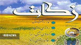 پرداخت 52 میلیارد تومان زکات توسط مردم لرستان؛امسال