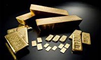 کشف ۲۵کیلوگرم شمش طلا در سردشت