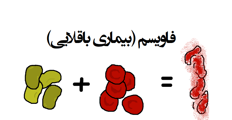آنچه باید از بیماری باقلایی یا فاویسم بدانید