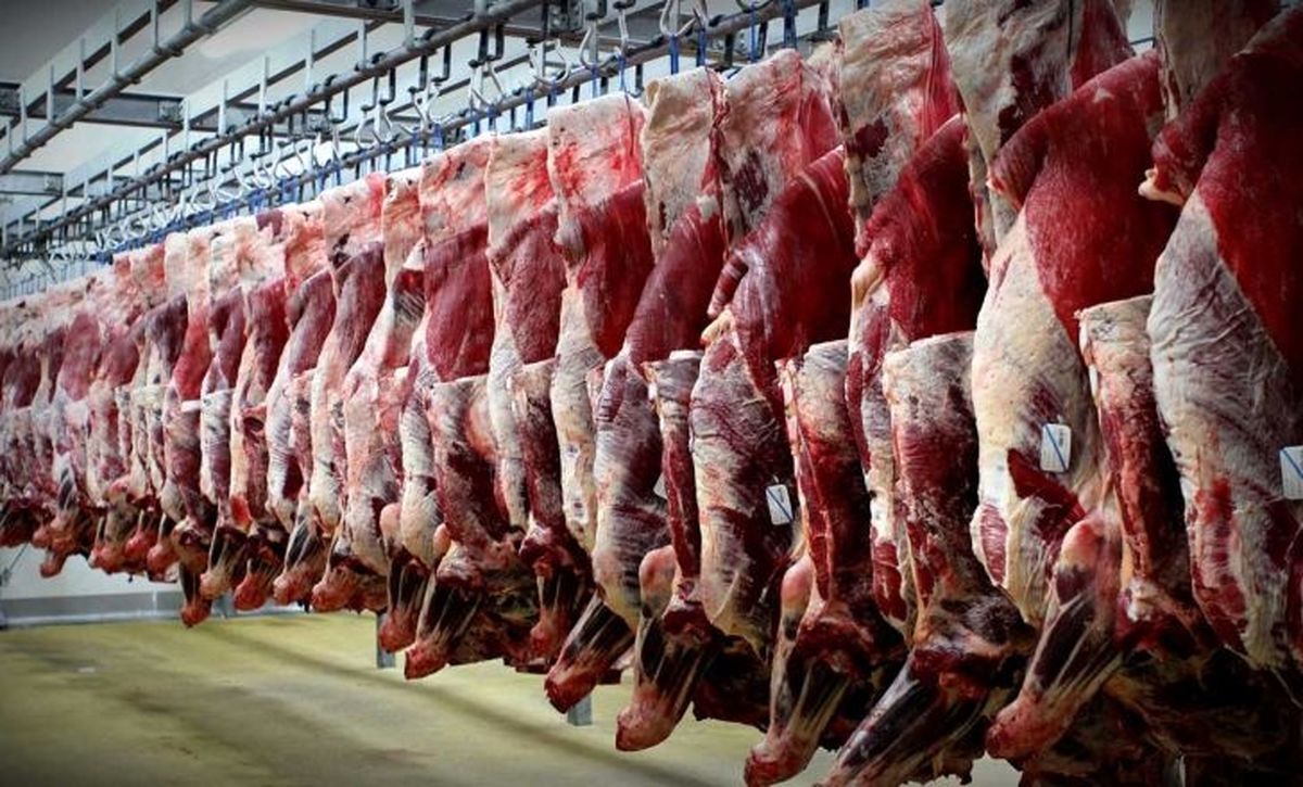 توزیع ۷۵ تن گوشت قرمز در ایلام