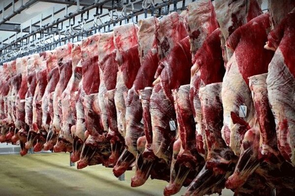عرضه و توزیع ۵۷۵ تن گوشت قرمزدر البرز