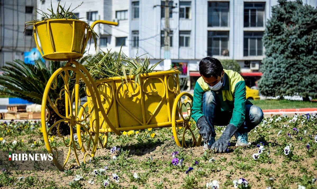 کاشت ۹ میلیون بوته انواع گل در تبریز