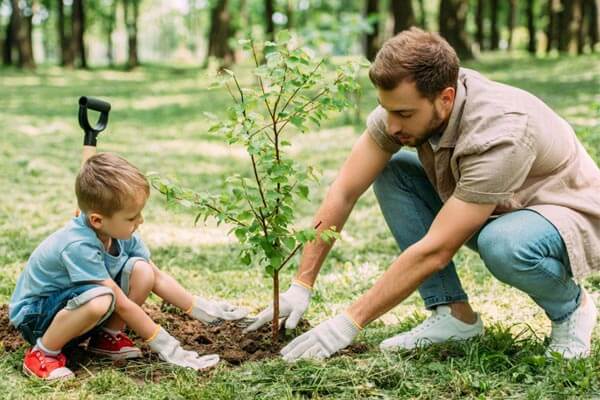 تحقق کاشت یک میلیارد نهال با کاشت ۲۵۰ میلیون در سال