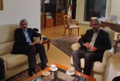 دیدار معاون بین‌الملل هلال احمر با سفیر ایران در ژنو