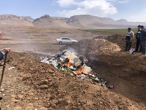 کشف و معدوم سازی ۵ تن گربه ماهی در کرمانشاه