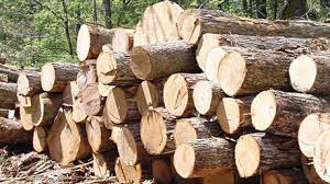 قاچاق ۲۵ تن چوب در اسلام آبادغرب