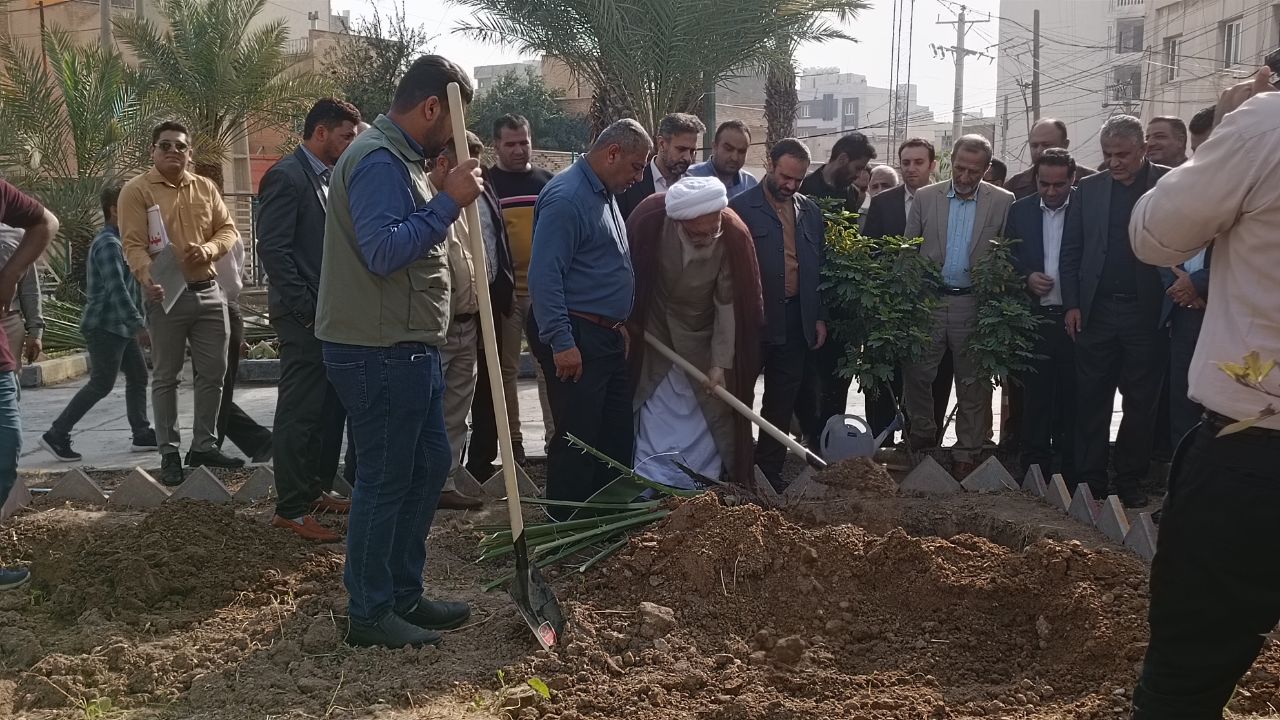 کاشت ۴۴ نهال مثمر نخل در آبادان