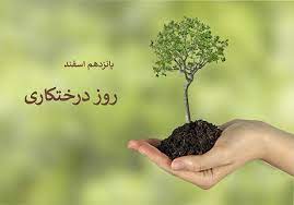 کاشت ۲۵ هزار درخت در روز درختکاری در خراسان رضوی