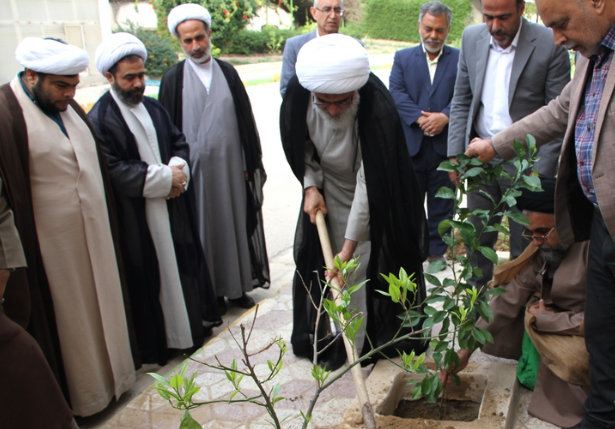 کاشت نهال از سوی امام جمعه بوشهر در روز درختکاری