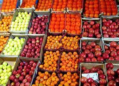 ذخیره سازی بیش از 295 تن میوه شب عید در خراسان جنوبی