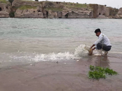 بازسازی و حفاظت از ذخایر طبیعی آبزیان در دزفول