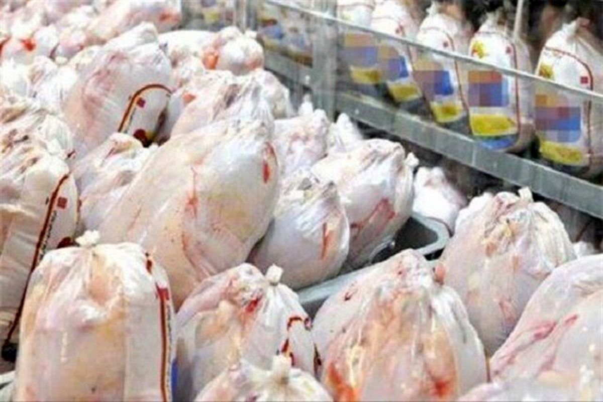 قیمت هر کیلو مرغ گرم در کرمان ۶۳ هزار تومان