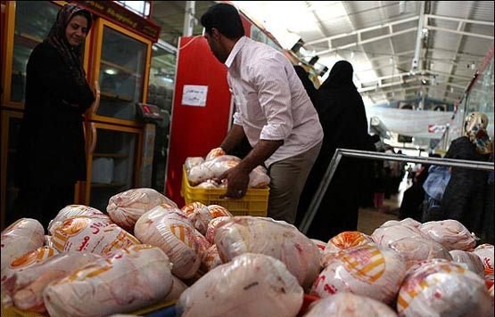 روند قیمت مرغ و گوشت کاهشی است