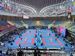 قهرمانی ورزشکاران زنجانی در مسابقات جهانی کاراته