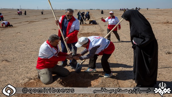 کاشت ۲ هزار نهال توسط داوطلبان هلال احمر و بسیجیان قم