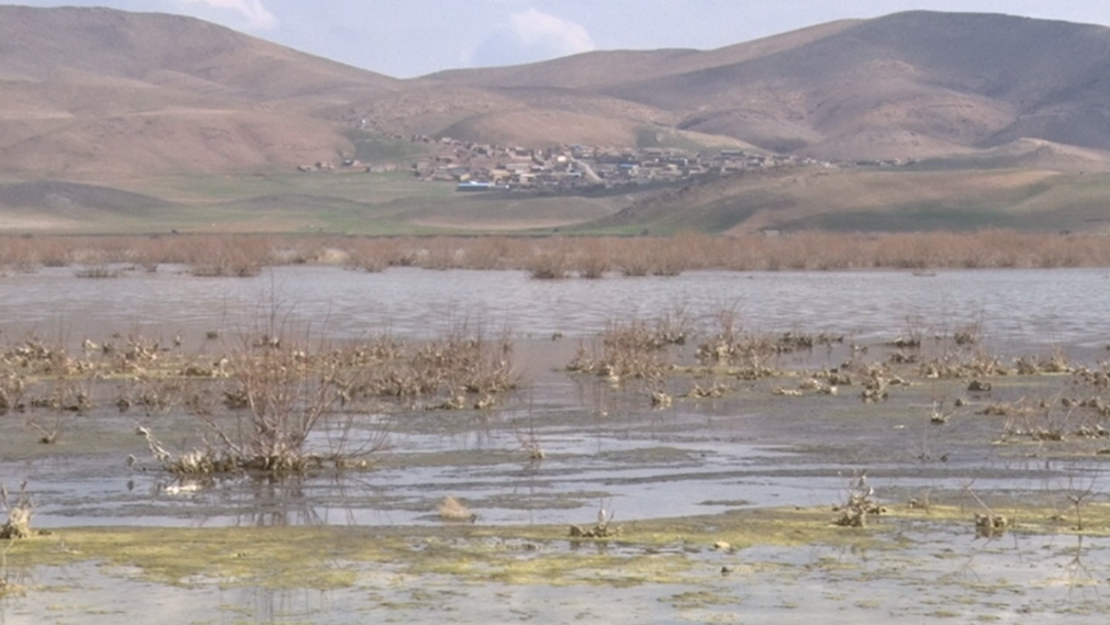 ترنم زندگی درتالاب قوپی باباعلی مهاباد