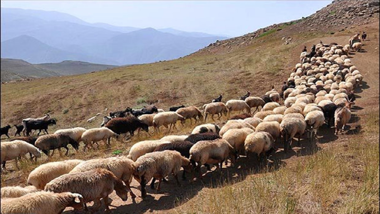 آغاز کوچ بهاره عشایر خراسان جنوبی