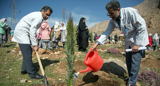 کشت سالانه ۲۵۰ میلیون اصله نهال در کشور