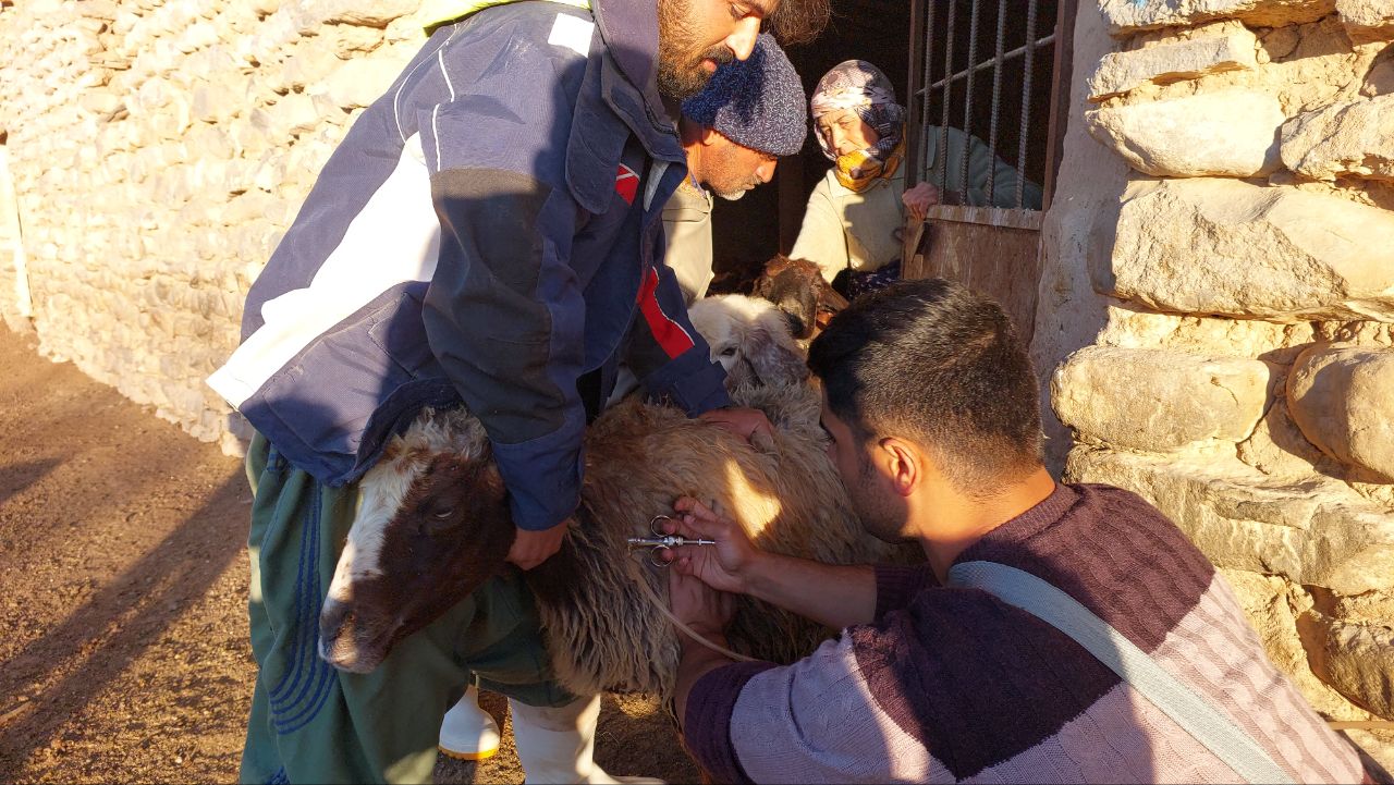 خدمات رسانی دامپزشکان گروه جهادی به روستا های محروم درگز
