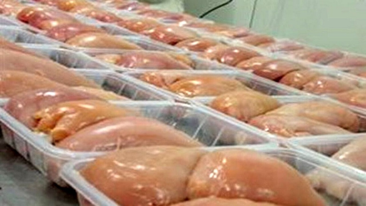 تولید ۶۰ هزار تن مرغ گوشتی در واحد‌های مرغداری استان قزوین