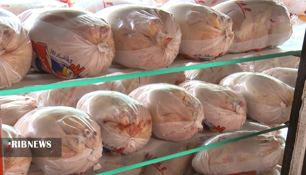 توزیع گوشت قرمز و مرغ منجمد با هدف تنظیم بازار در کردستان