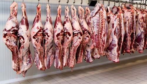 جلوگیری از خروج دام و گوشت از خوزستان برای کنترل قیمت‌ها