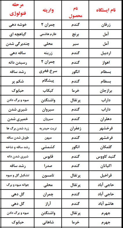 از شکوفه دادن آلو در ارومیه تا رشد انبه در میناب؛