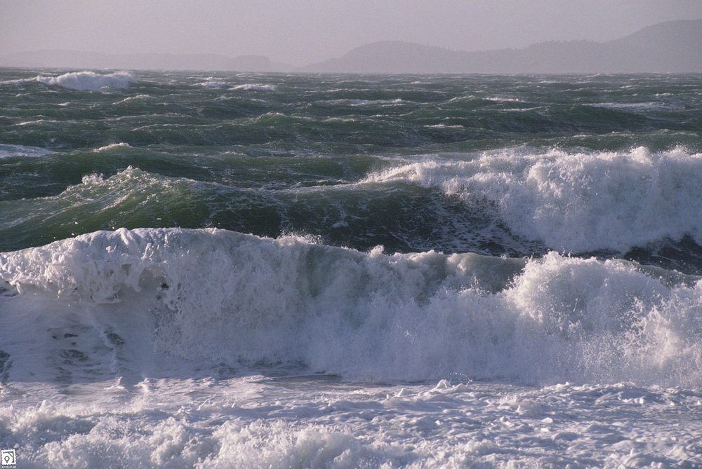 وزش باد شدید در مناطق دریایی کیش و جزایر خلیج فارس