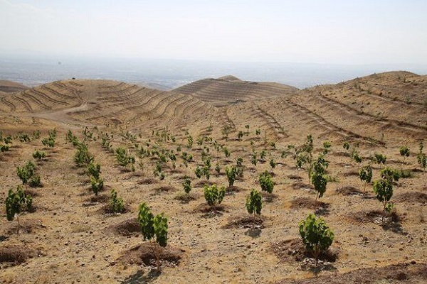 کمبود آب و اعتبار، موانع پیشرفت طرح‌های بیابان زدایی در خوزستان