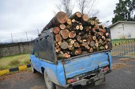 توقیف محموله یکهزار کیلوگرمی چوب غیر مجاز در شهرستان خفر