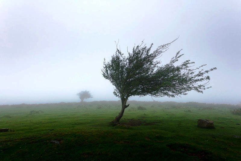 تداوم وزش باد‌های شدید در استان قزوین