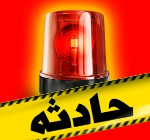 وزش باد شدید در شیراز حادثه ساز شد