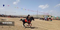 همایش کشوری زیبایی اسب در فراهان