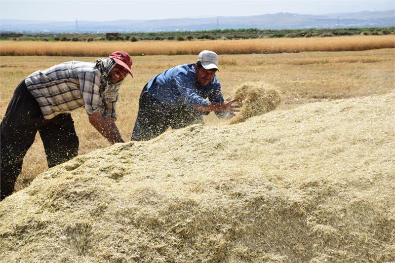 جمع آوری بیش از ۳ میلیارد ریال فطریه در بهزیستی چهارمحال و بختیاری