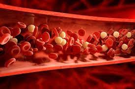 کنترل کلسترول خون با چند روش ساده
