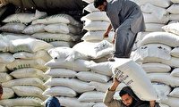 ممنوعیت صادرات شکر در پاکستان