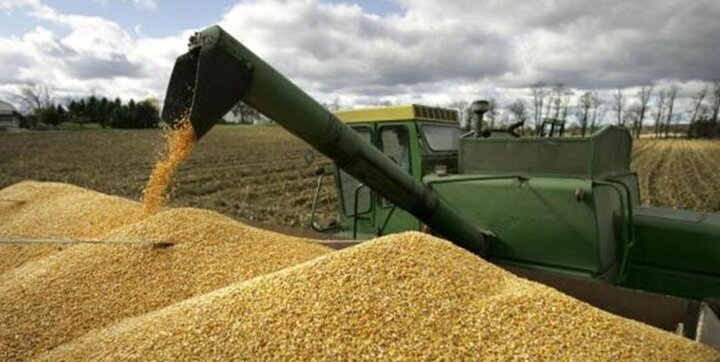 خرید تضمینی ۸۸۰ هزار تن گندم در خوزستان