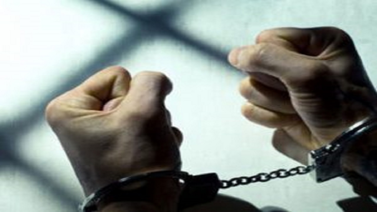 دستگیری گروه حفاران غیرمجاز در الموت 