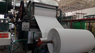 ساماندهی و حل مشکلات پیش روی کارخانه های تولید کاغذ